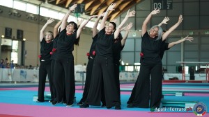 gymnaestrada rimini 2023 foto agati ferraro luc00099